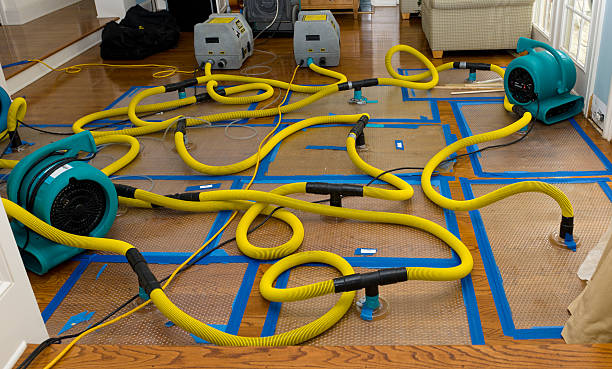 Professional Crawl Space Water Removal technician working in Malone, FL